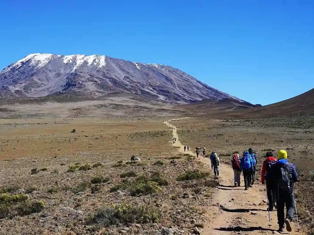 Trekkers on the Lemosho route with Kilimanjaro ahead