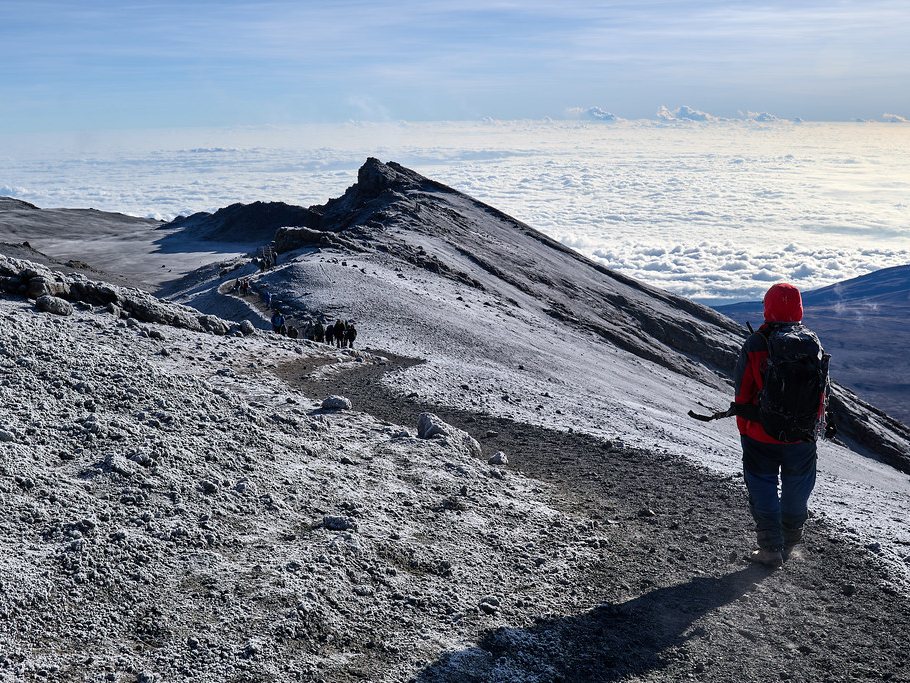 Giraffes beneath Mount Kilimanjaro